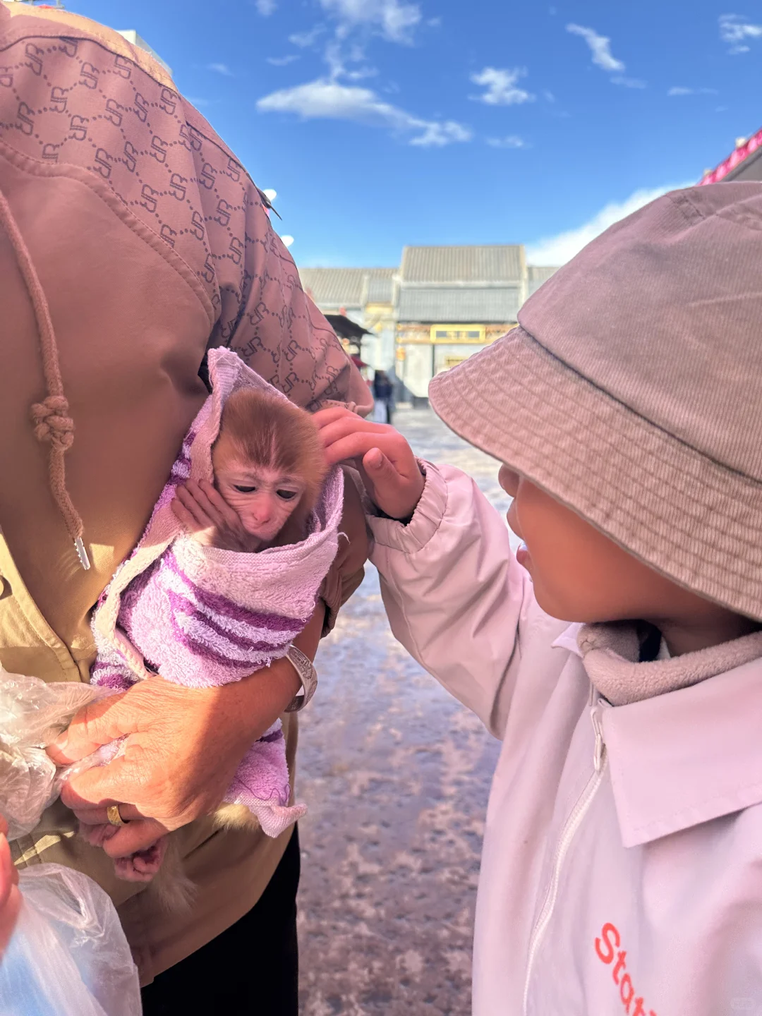 坝上草原 原来蕞美的风景居然都免费🆓