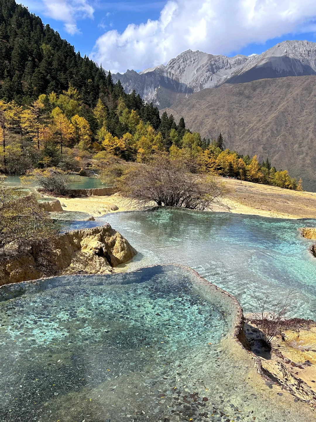 黄龙景区一日游攻略