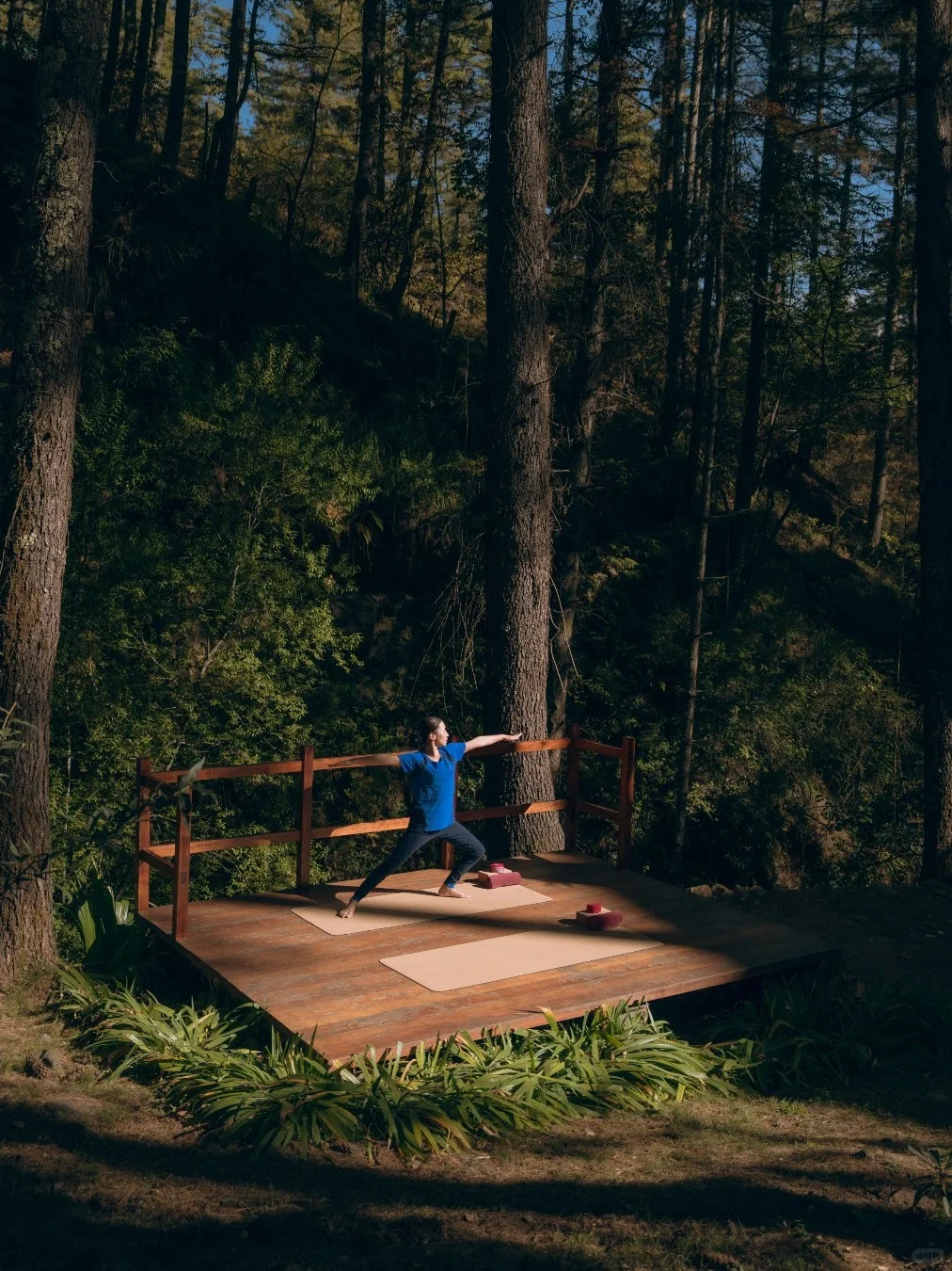 文旅场景灵感｜真正高级的设计不需要刻意