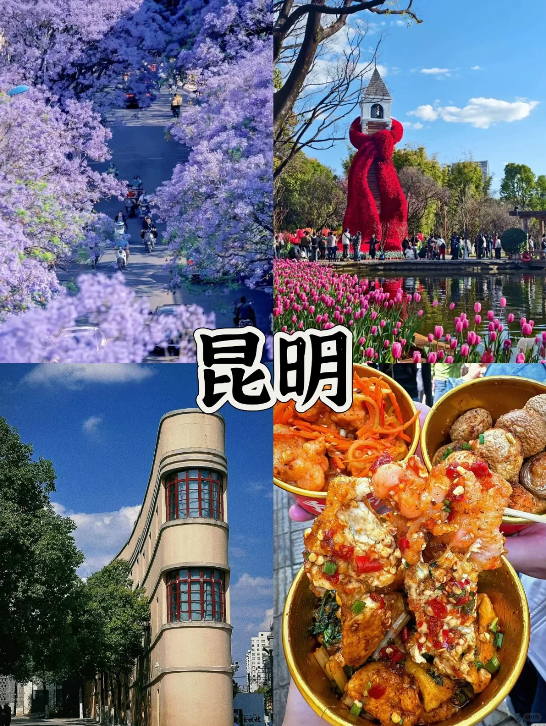 云南6天5晚攻略（预算1000➕）旅游方案