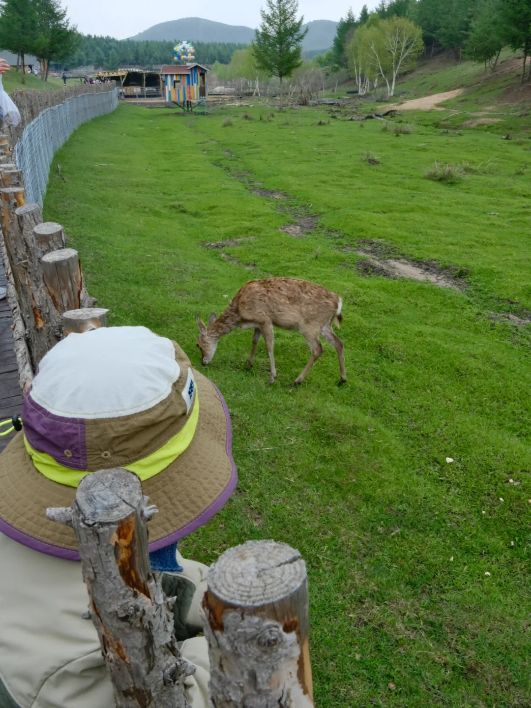 坝上草原 原来蕞美的风景居然都免费🆓