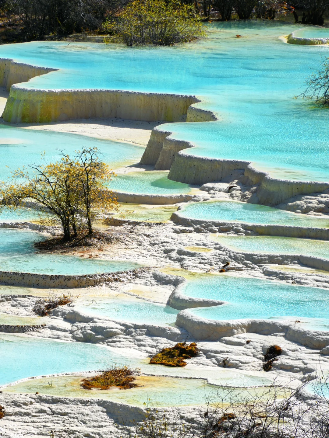 黄龙景区一日游攻略