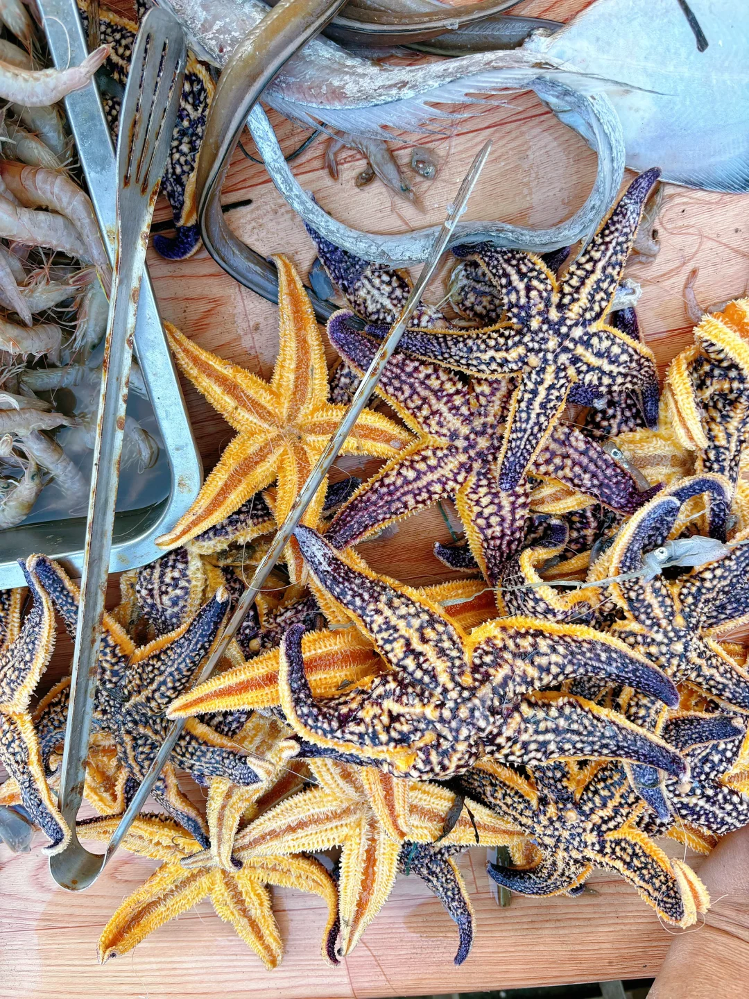 青岛现状，7月要去旅游的尽早改行程