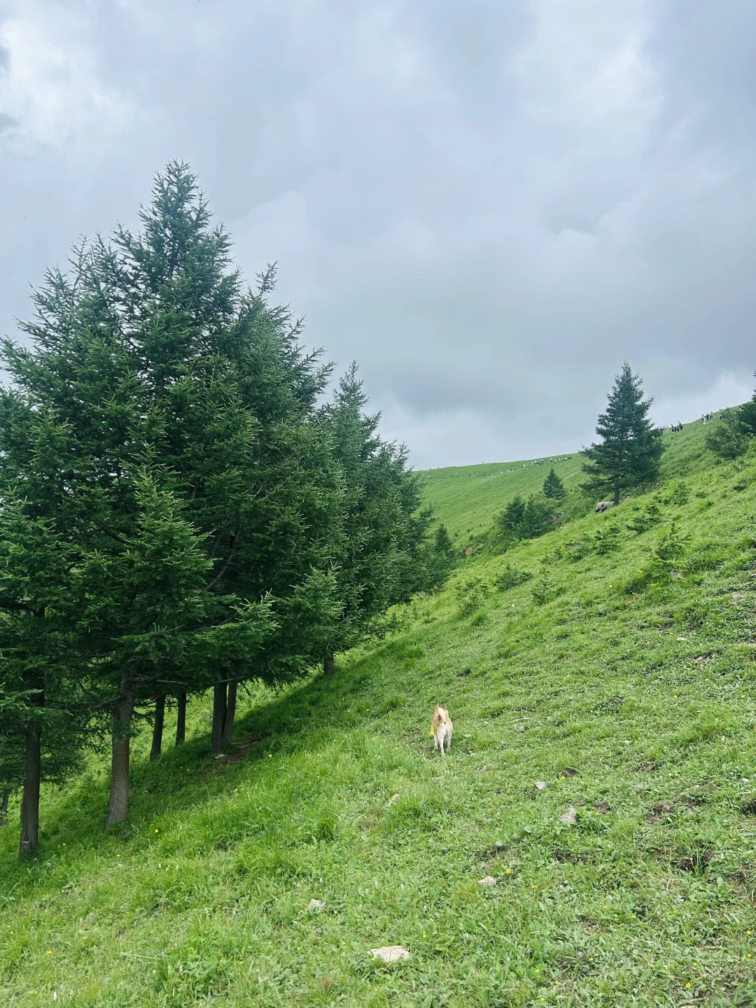 北京周边📷｜出片率200%的麻田岭⛰️