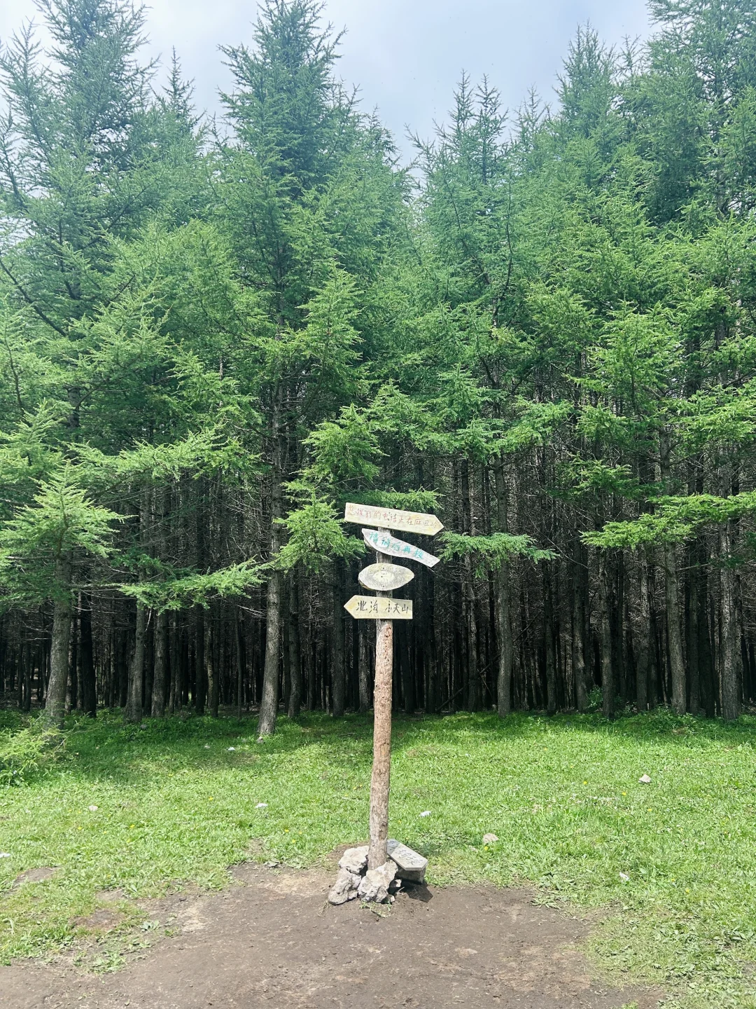 北京周边📷｜出片率200%的麻田岭⛰️