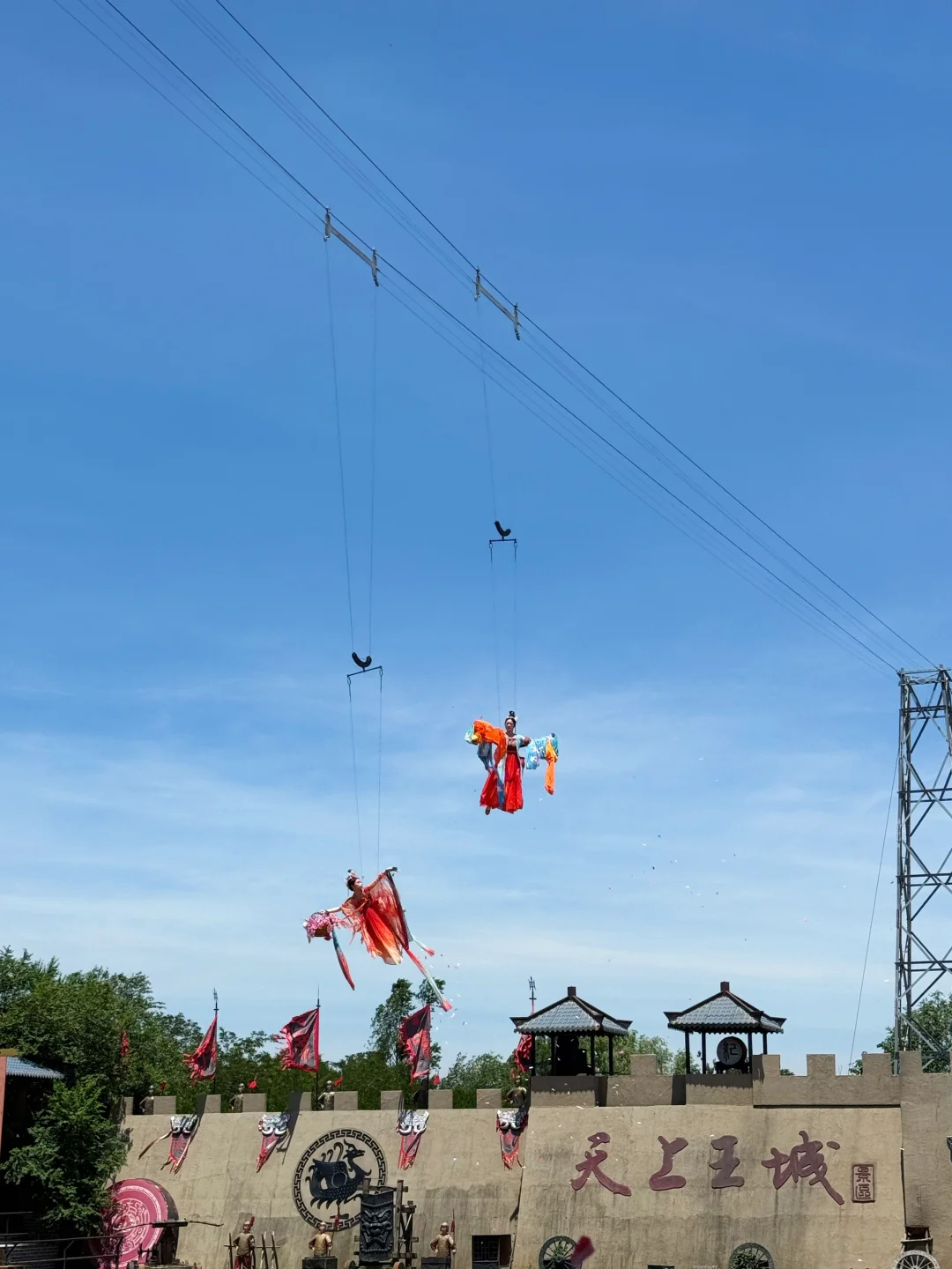 泰安开车2小时!发现绝美森林秘境🌳🦋