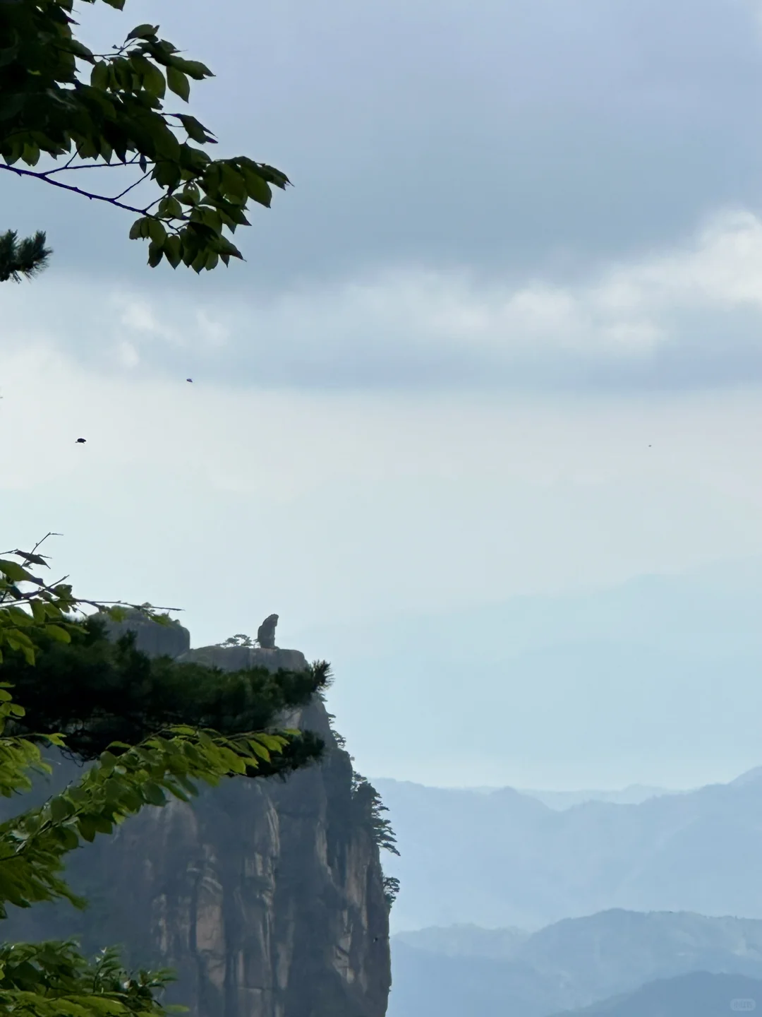 黄山实况7月2日☀️晴
