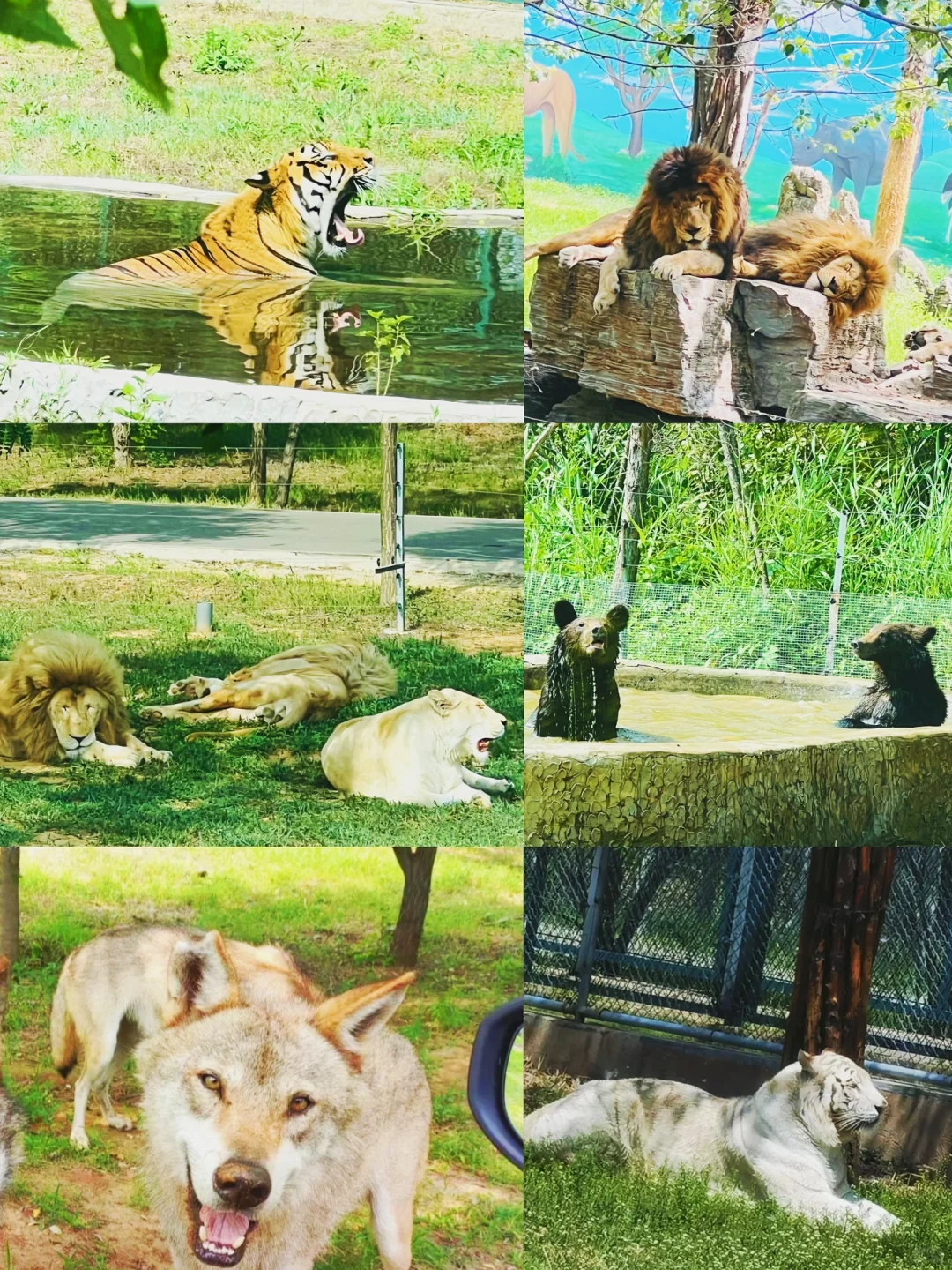 让我看看谁来秦皇岛不做攻略当冤大头‼️