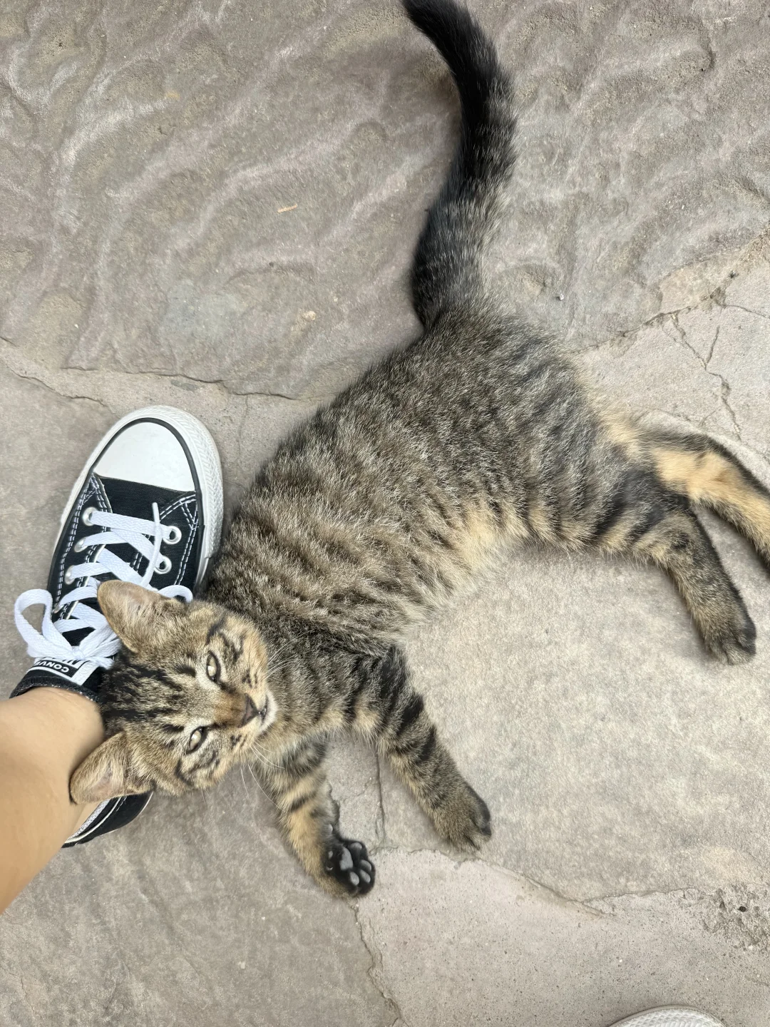 井陉苍岩山 太适合轻爬山了⛰️🪨