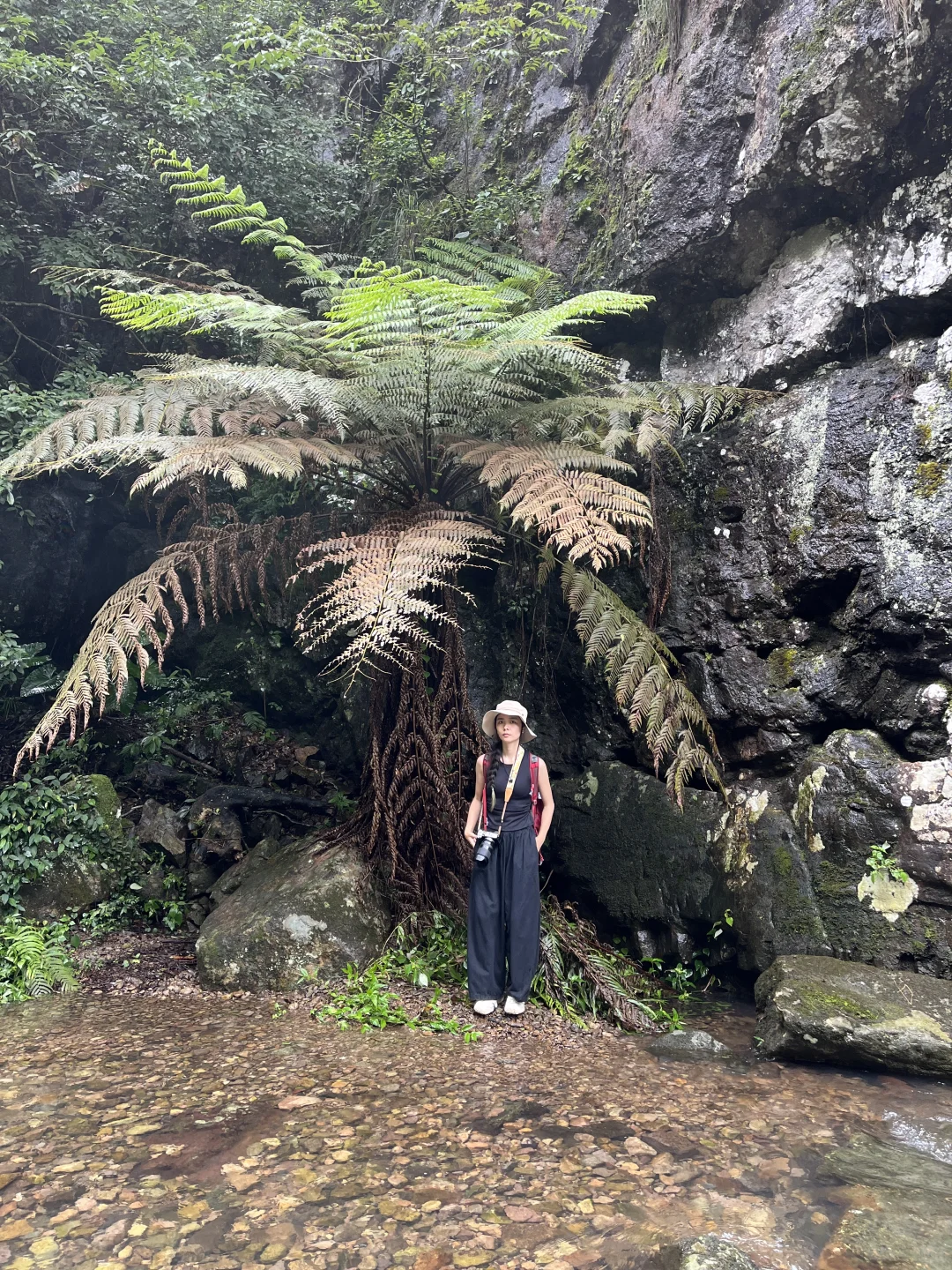 福州徒步｜1h新手友好的瀑布秘境！人少景美～