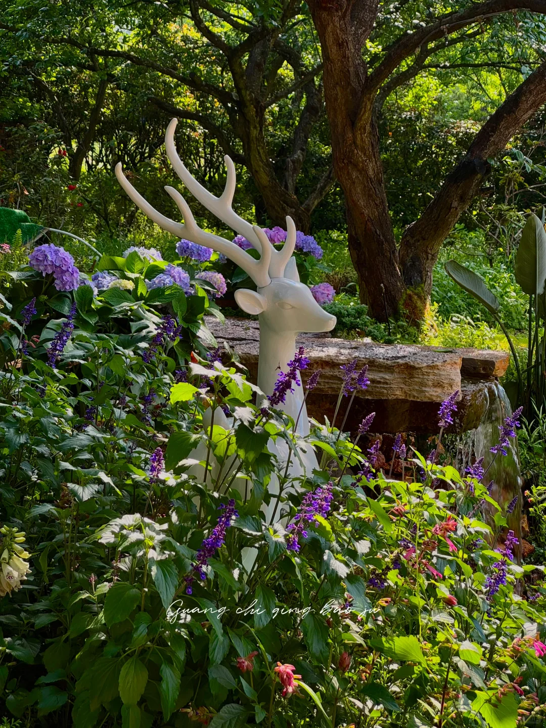 昆明花海🪻这片爱丽丝仙境太美啦！