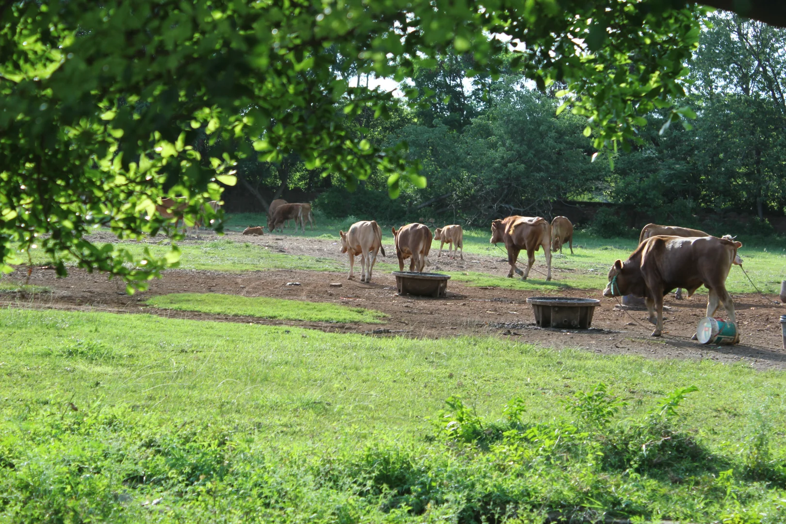 去广西旅游,我是怎么把每一个坑都踩遍的?