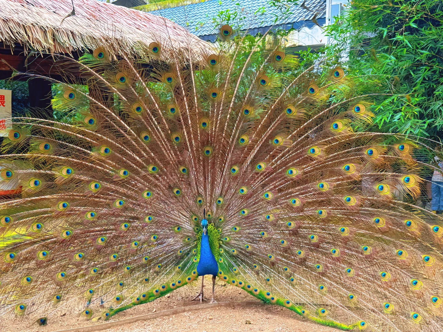 贵阳 一个臭烘烘但很好吃的城市