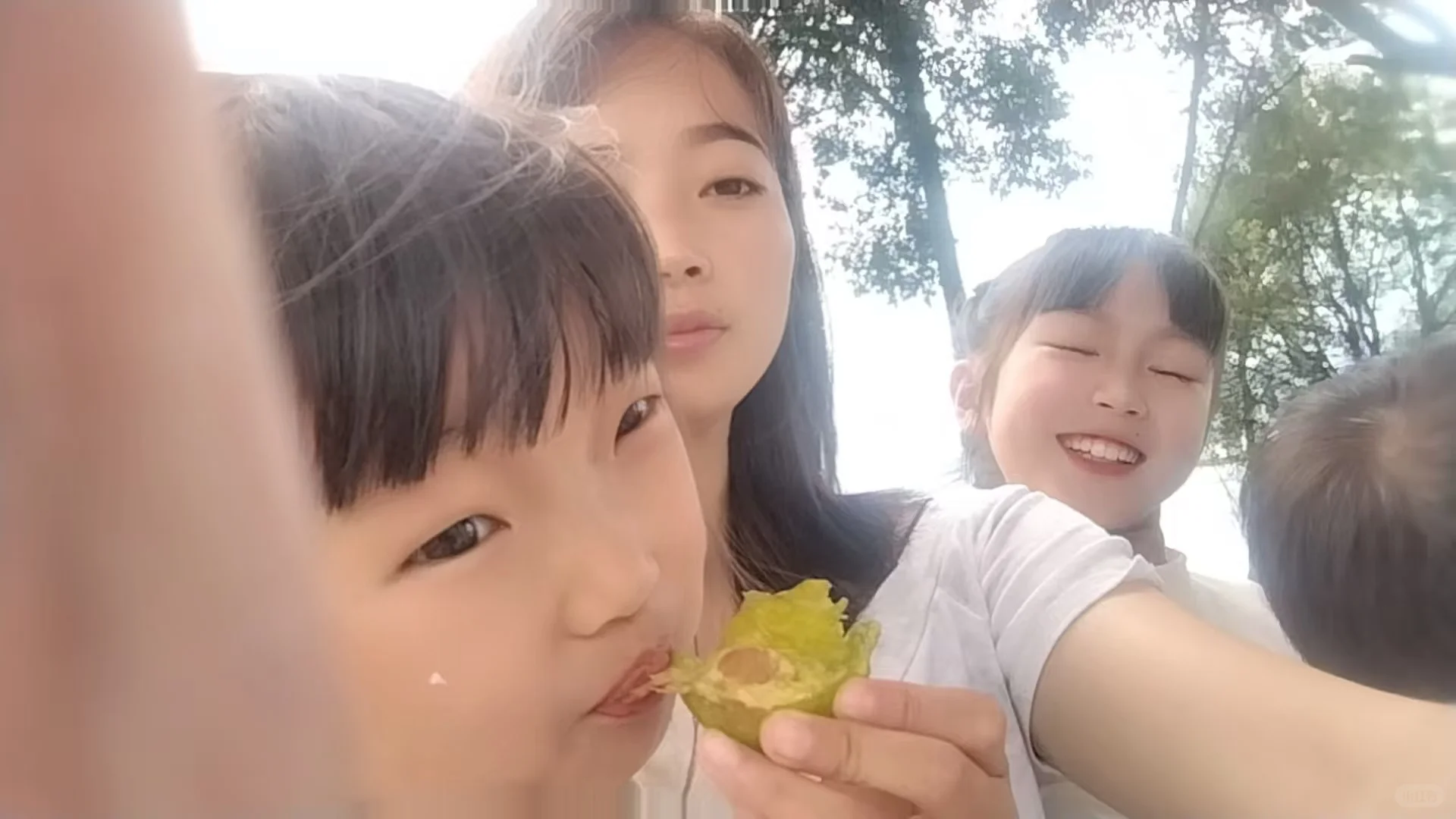 听说云南旅游坑多，这次抱着试试看的心态