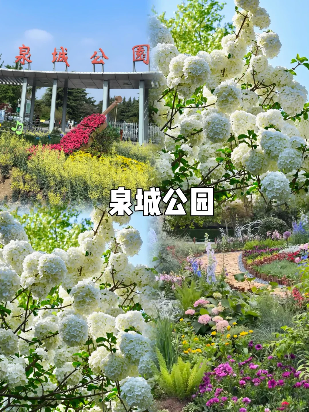 济南｜10个免费🆓打卡的宝藏地方❗️