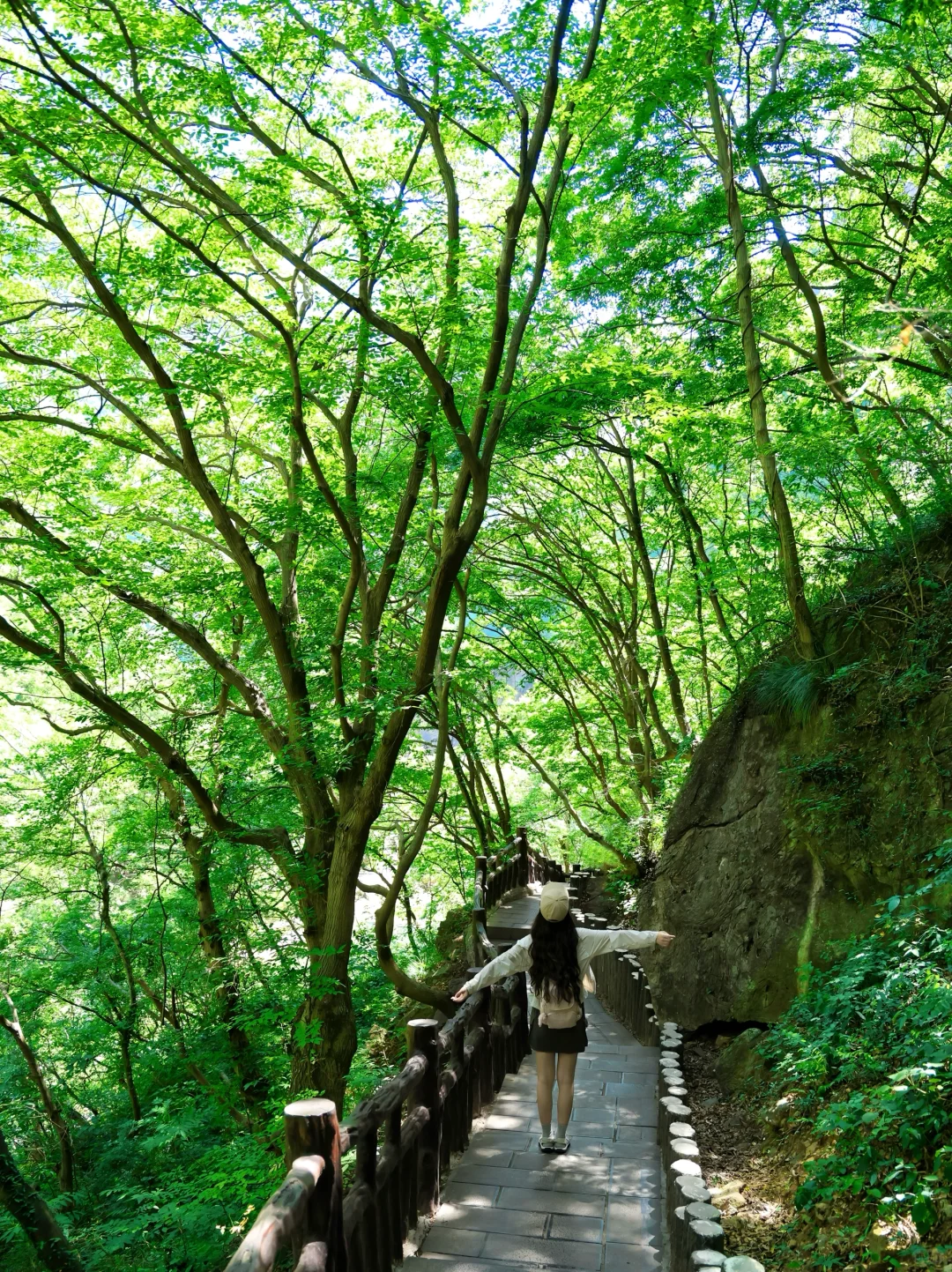 没人告诉我云台山这么美啊!20°的夏天好舒服