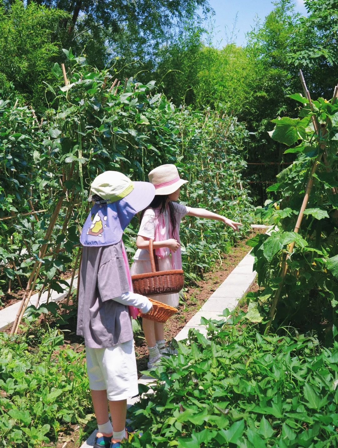 三刷曲阜,这些坑别再踩了!四天三晚攻略收好