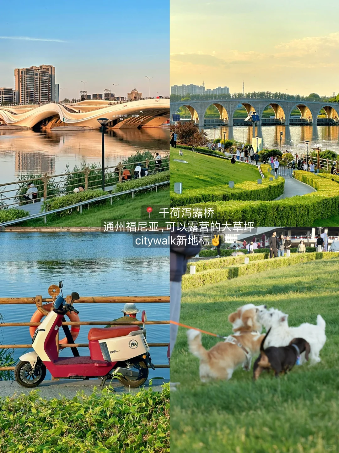 合集：）北京最好的地方都是免费的