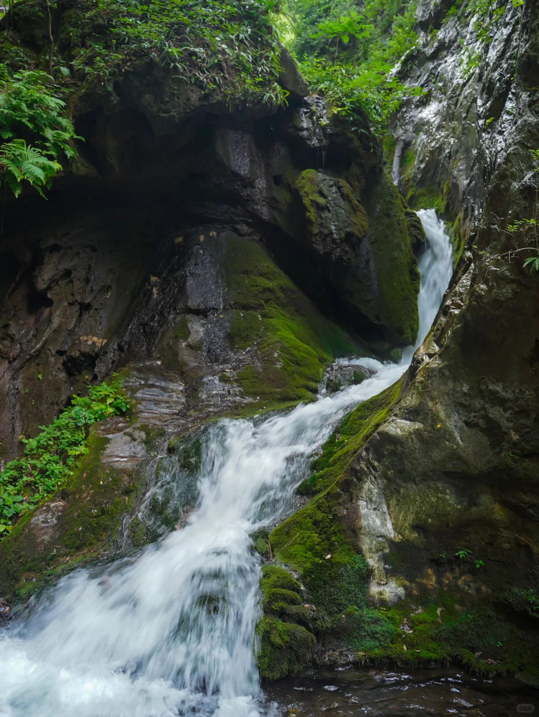河南人嘴真严啊‼️栾川竟然藏着人间仙境！