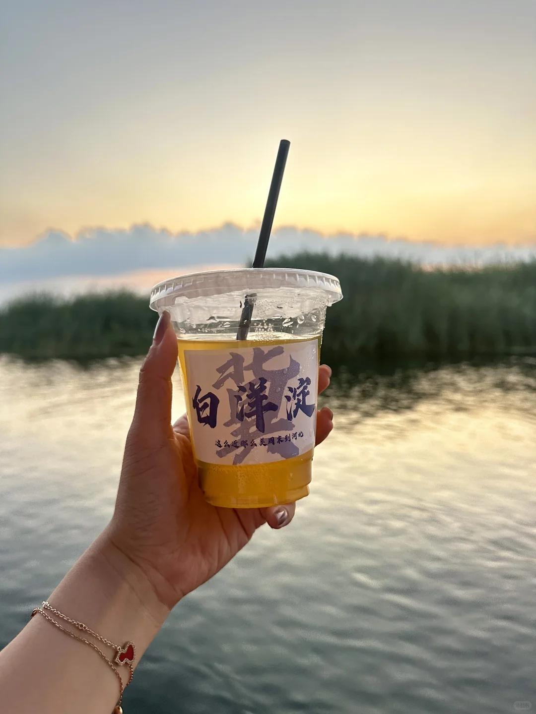 真的不敢相信！在白洋淀遇到了坠美日落🌅