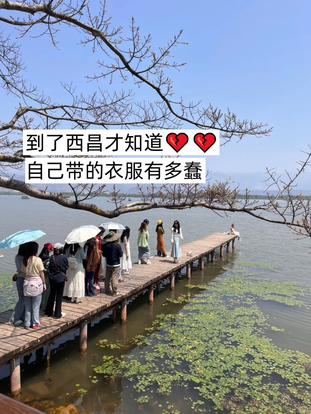 7.12西昌刚回🔥J人总结了自己的感受……