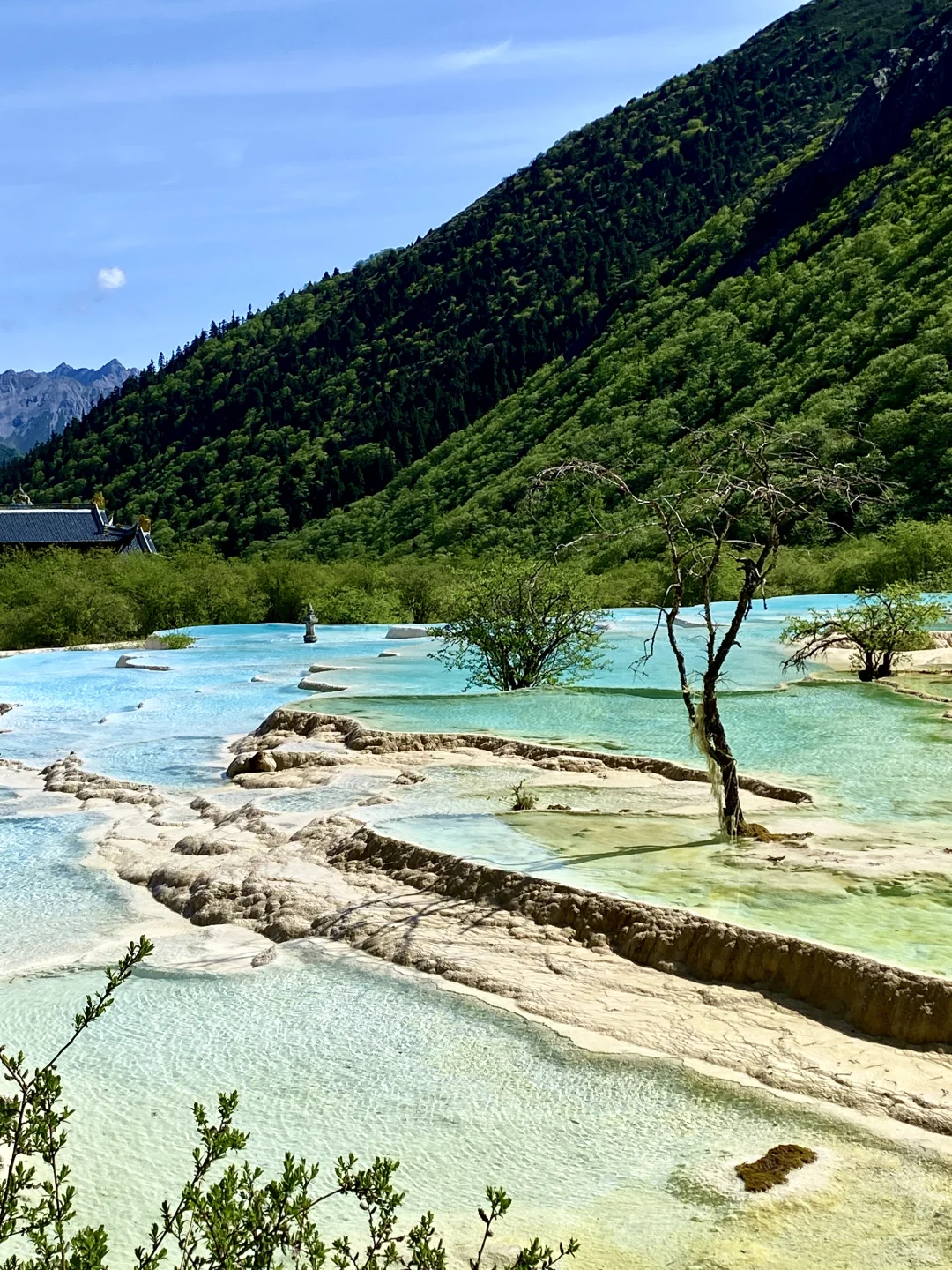 黄龙争艳池&五彩池💙💚