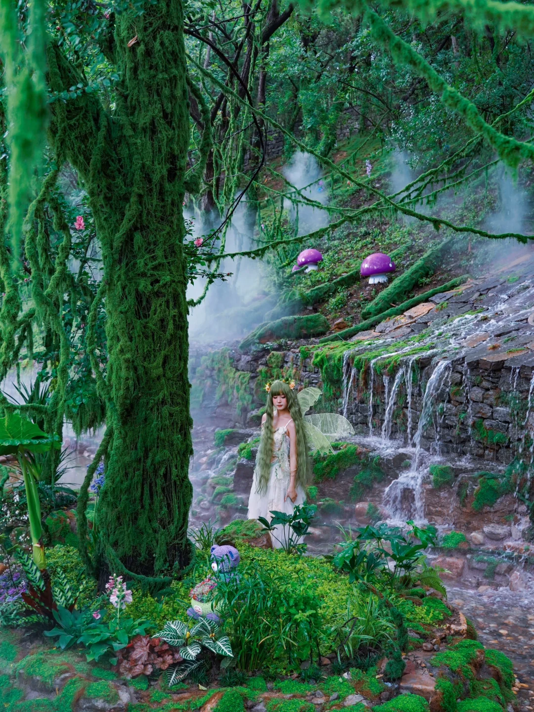 山东曾经的省会对面有森林仙境🍃暑假新去处