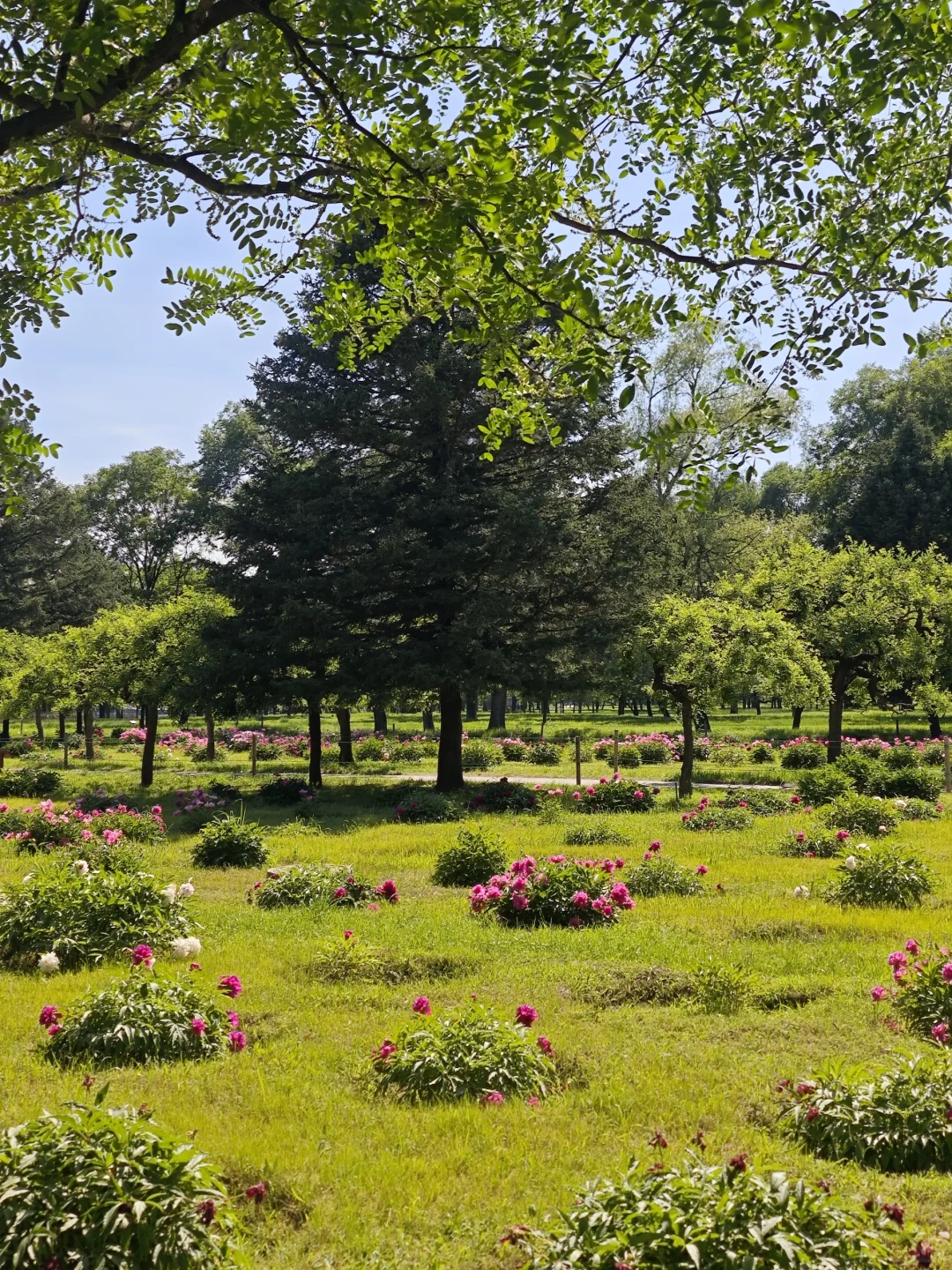 📍承德｜避暑山庄 来看看小燕子的漱芳斋
