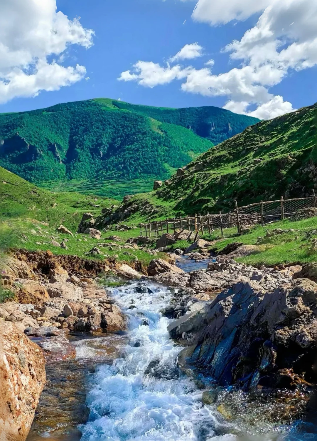 河北小阿勒泰 人少 整个山头都是你的！