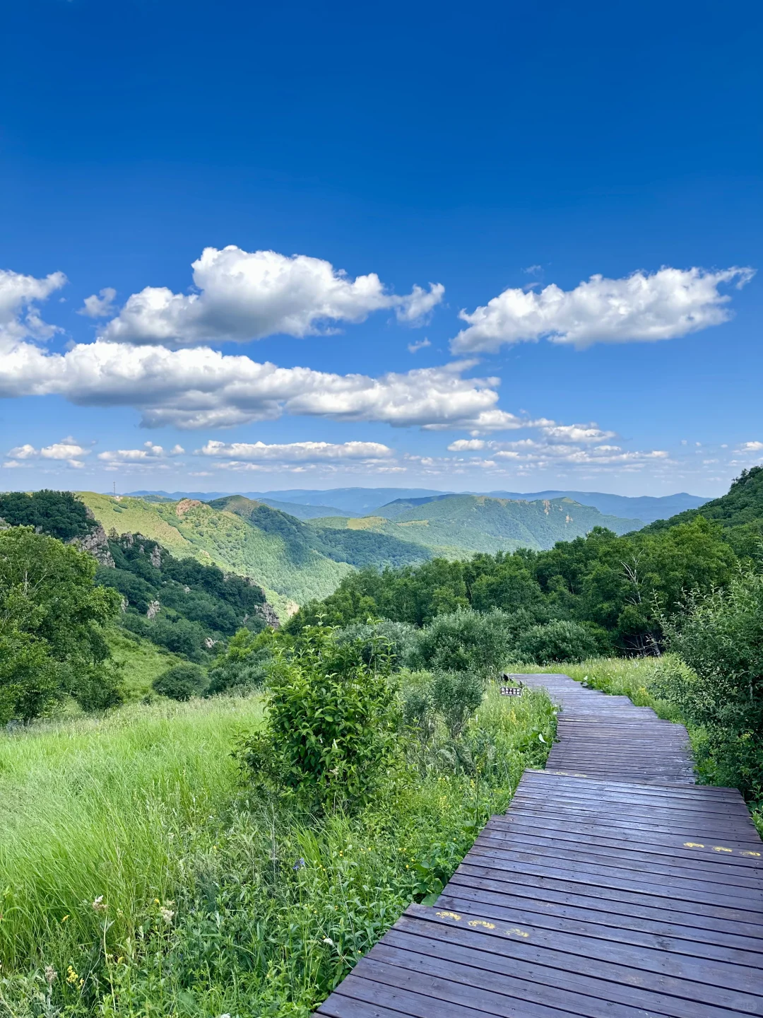 京郊阿勒泰✧🧺...𝙃𝙖𝙥𝙥𝙞𝙣𝙚𝙨𝙨 ˡ̵˖☻˚