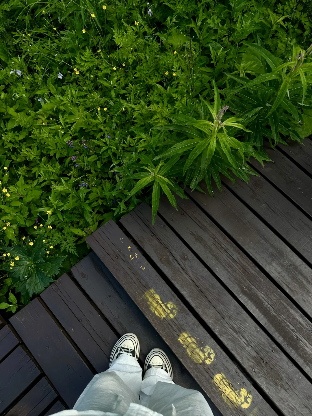 京郊阿勒泰✧🧺...𝙃𝙖𝙥𝙥𝙞𝙣𝙚𝙨𝙨 ˡ̵˖☻˚