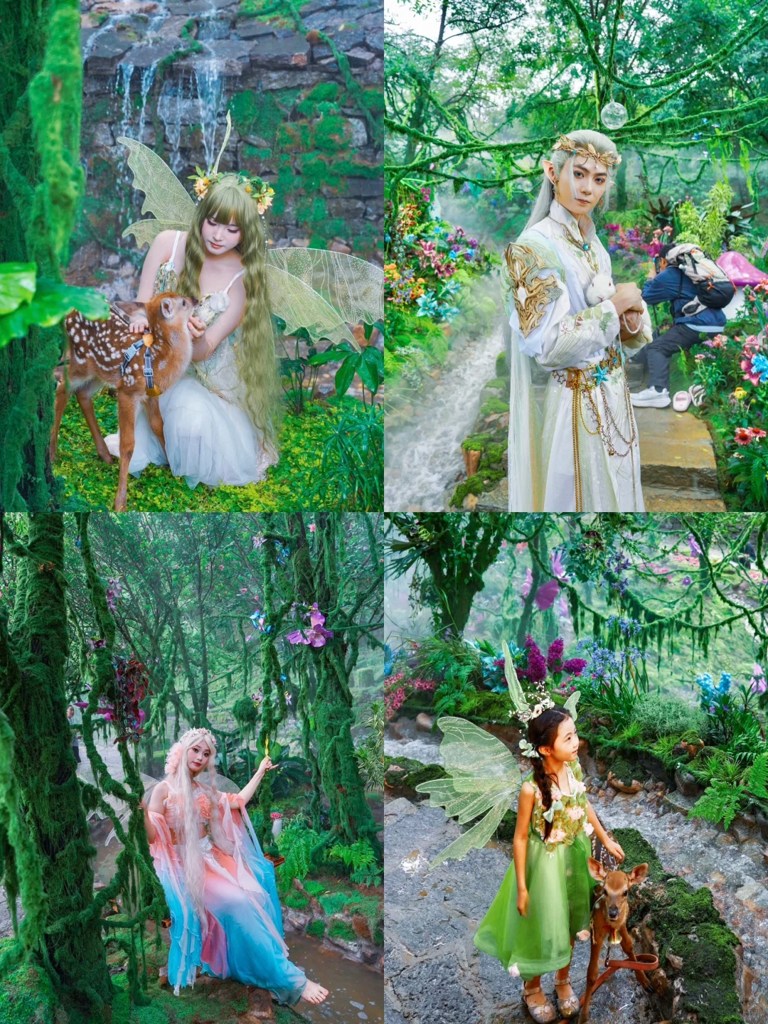 山东曾经的省会对面有森林仙境🍃暑假新去处