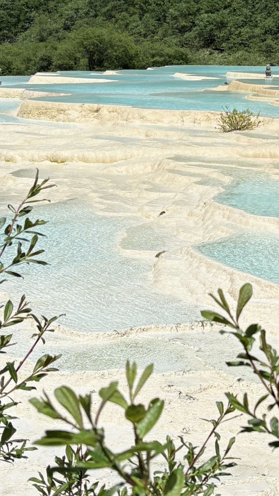 到底是谁在说黄龙九寨不好看的!