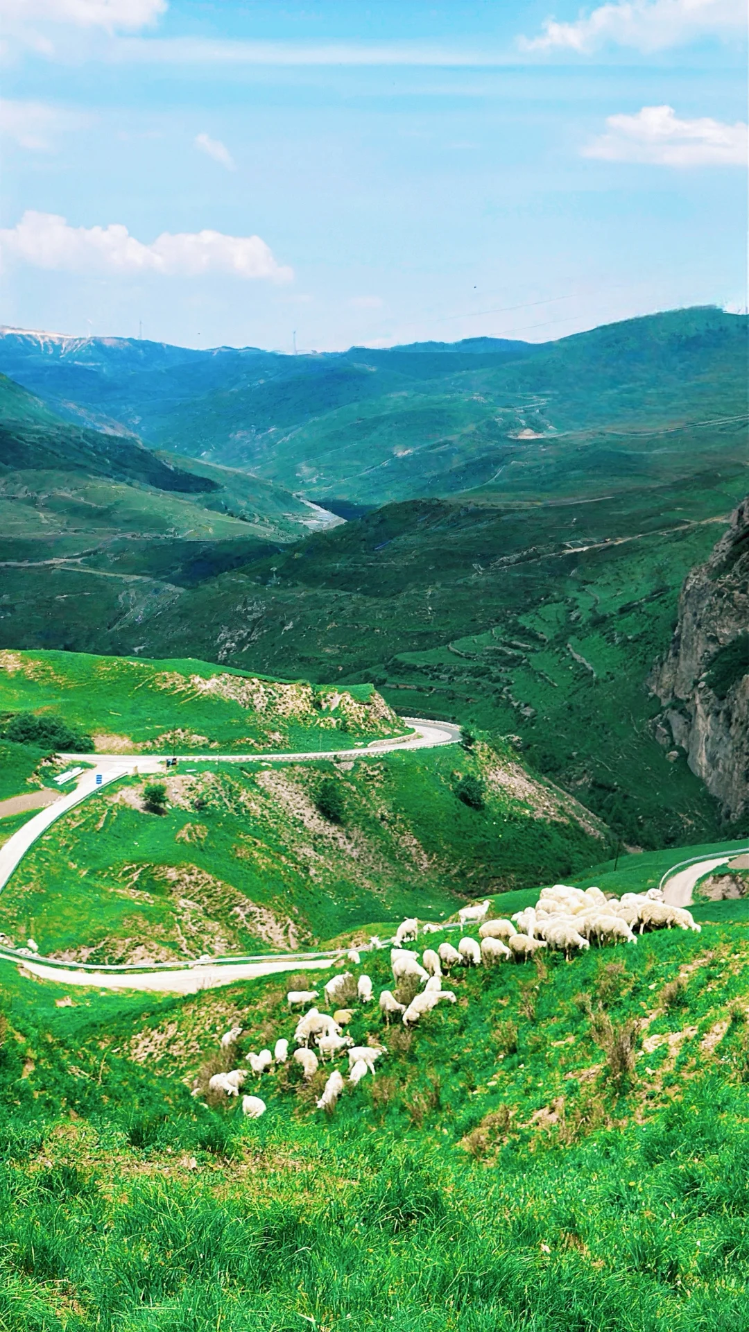 河北小阿勒泰 人少 整个山头都是你的！