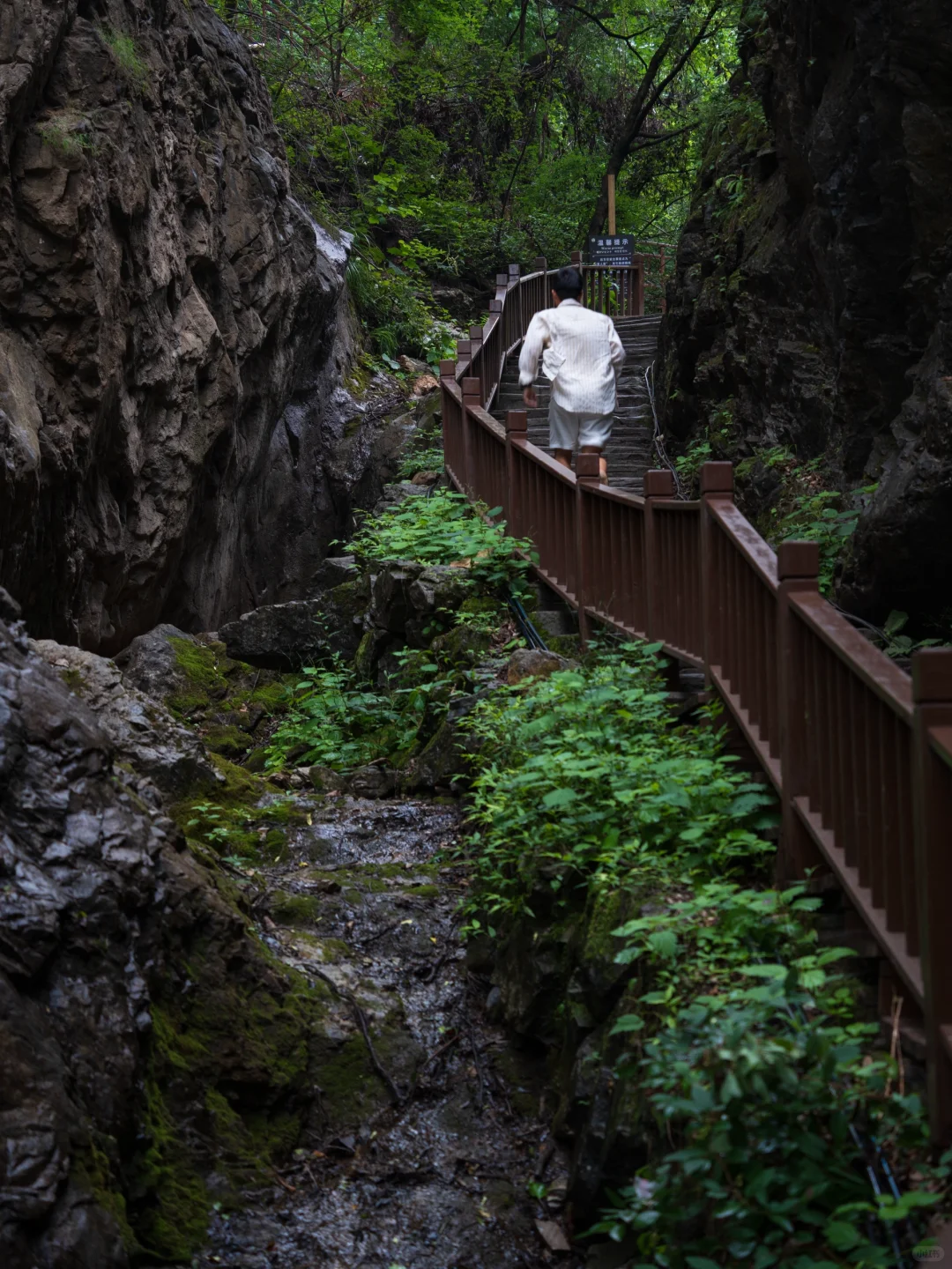 真的有被洛阳浪漫到❤️