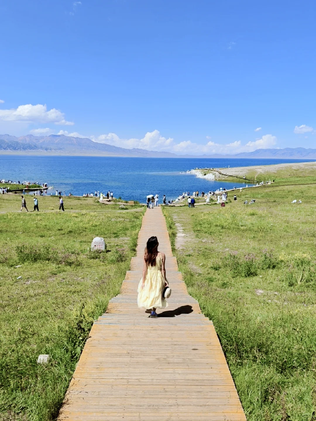 7月的新疆，一定会刷新你对夏天的想象！