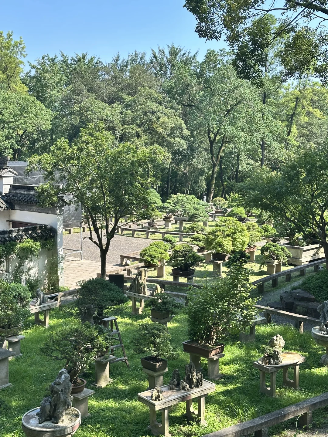 💰0元玩转苏州!私藏的免费神仙景区list~