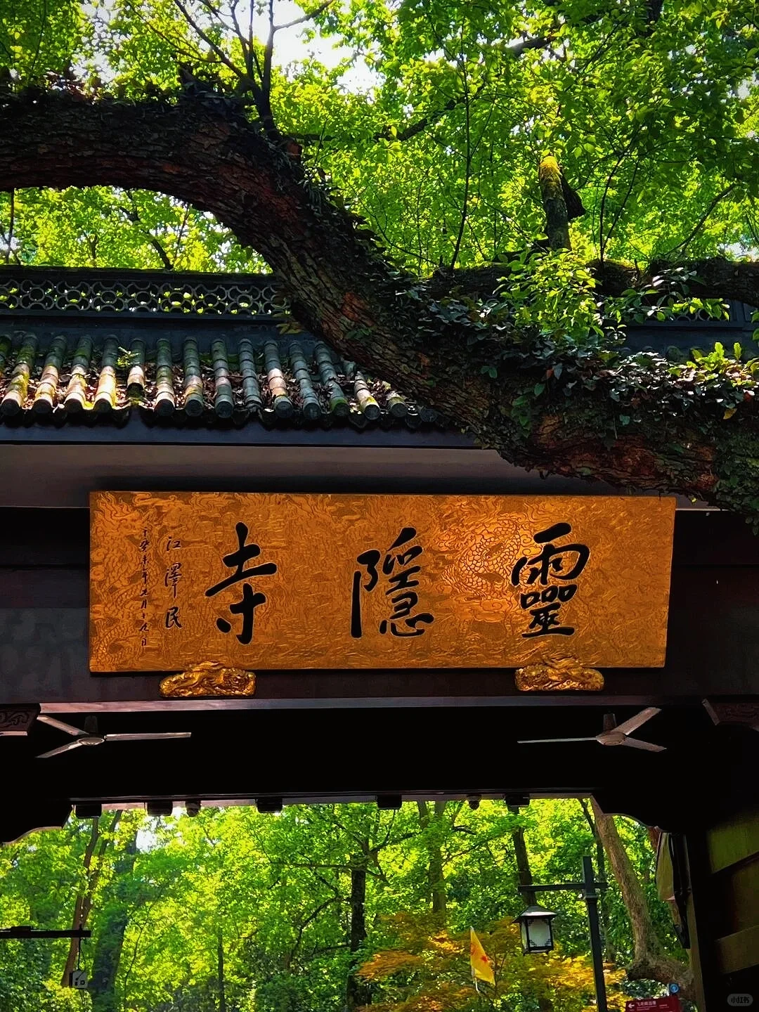 杭州灵隐寺|禅意千年,心归处