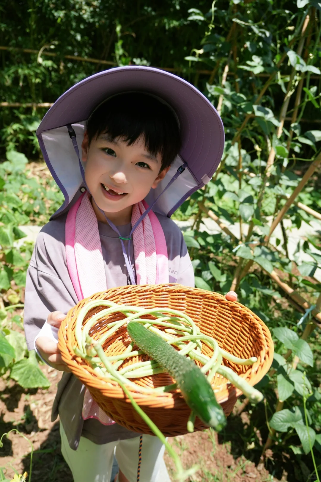 三刷曲阜,这些坑别再踩了!四天三晚攻略收好
