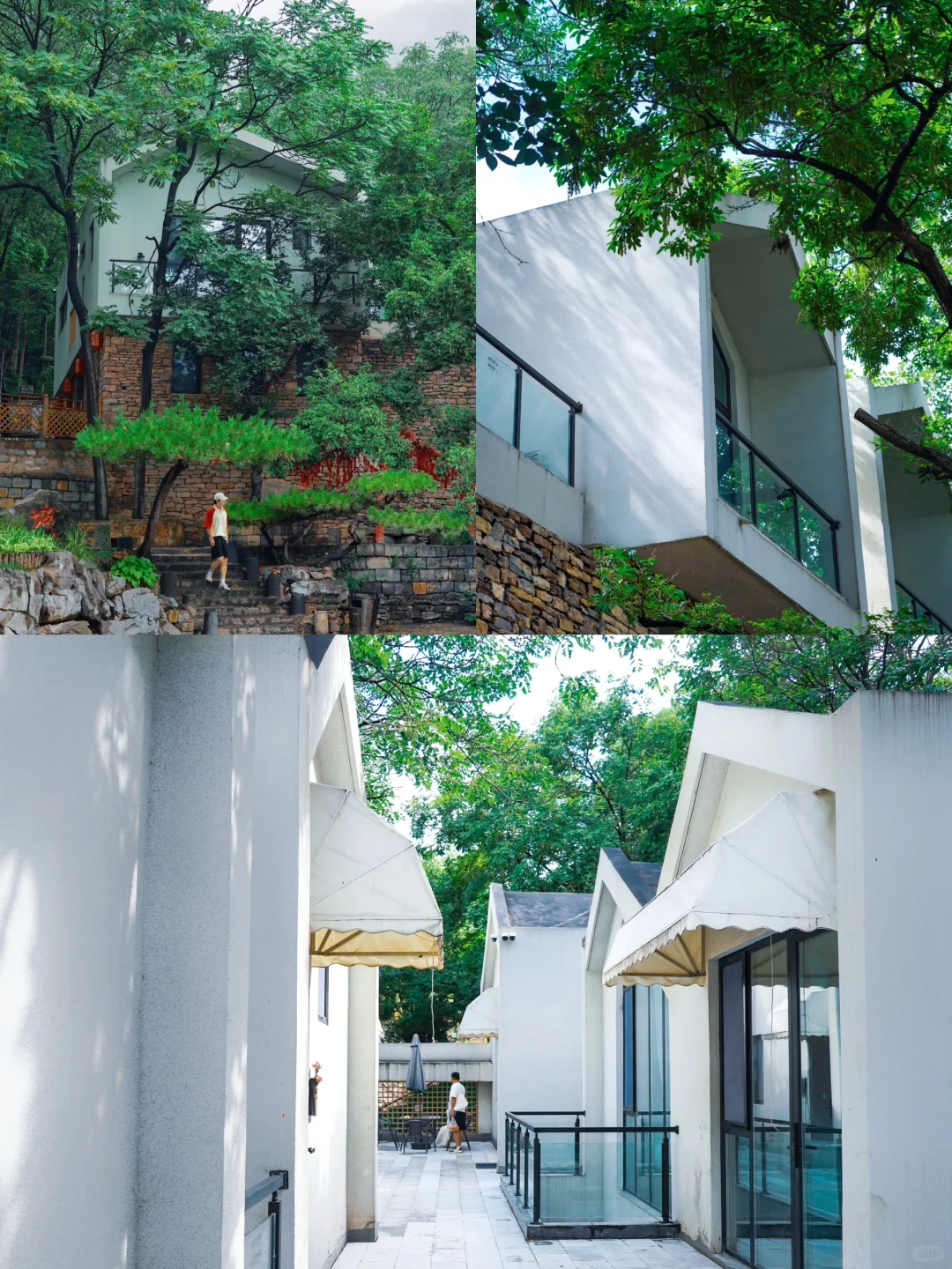 山东曾经的省会对面有森林仙境🍃暑假新去处