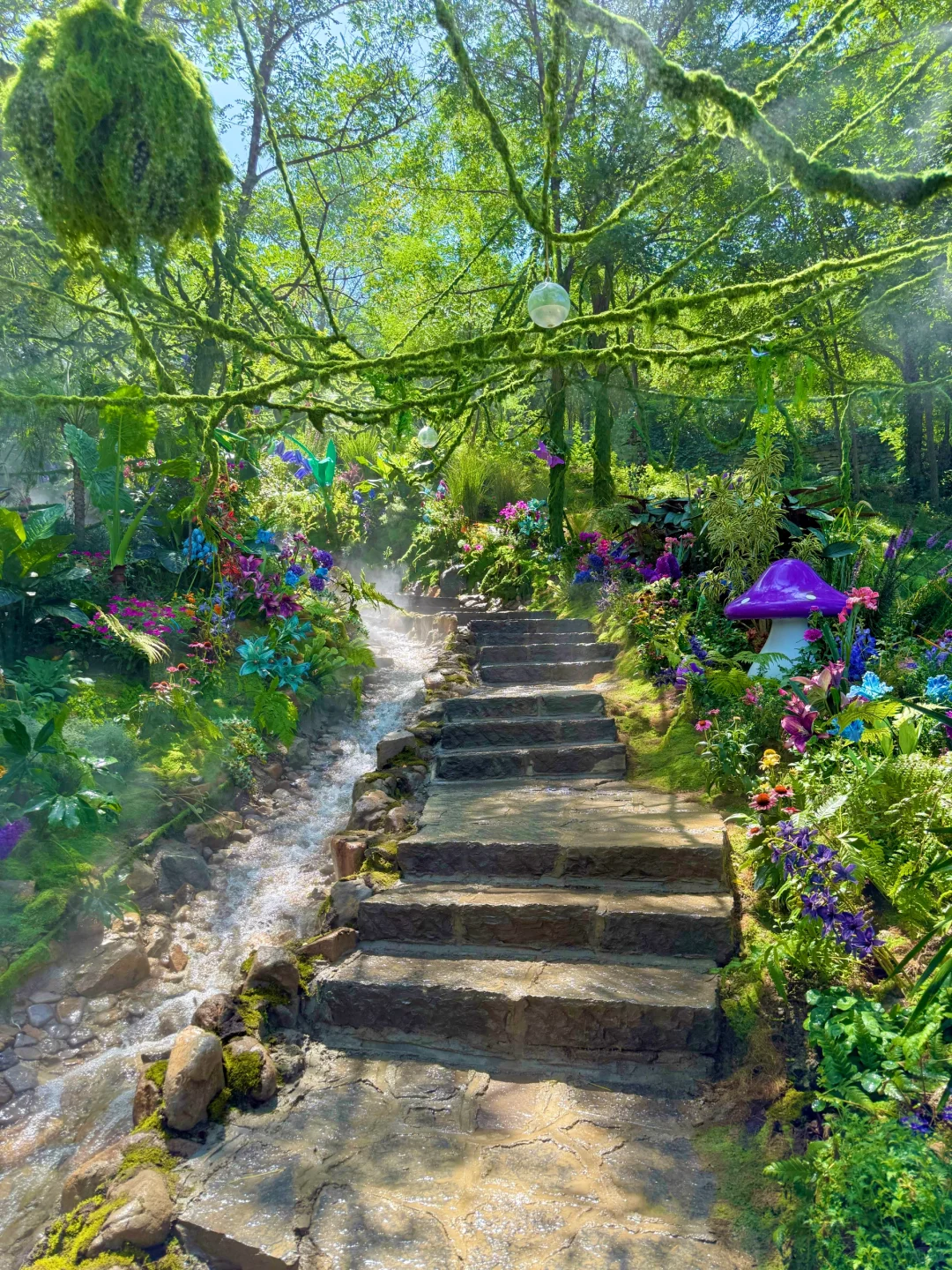 泰安开车2小时!发现绝美森林秘境🌳🦋