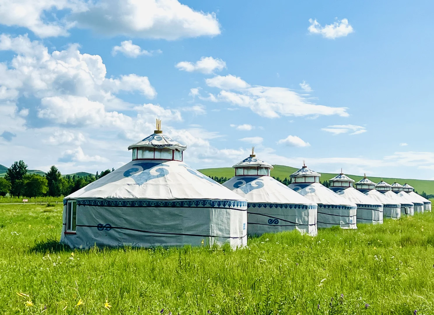 这样的草原谁不爱呢🐎离辽宁很近的草原