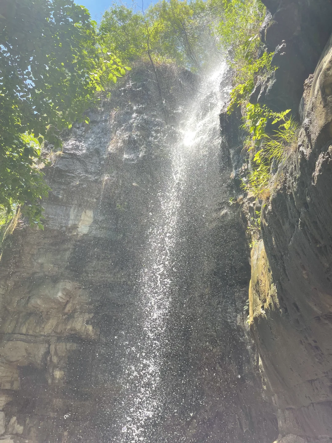 夏日避暑宝藏地|赶快躲进这天然氧吧🍃