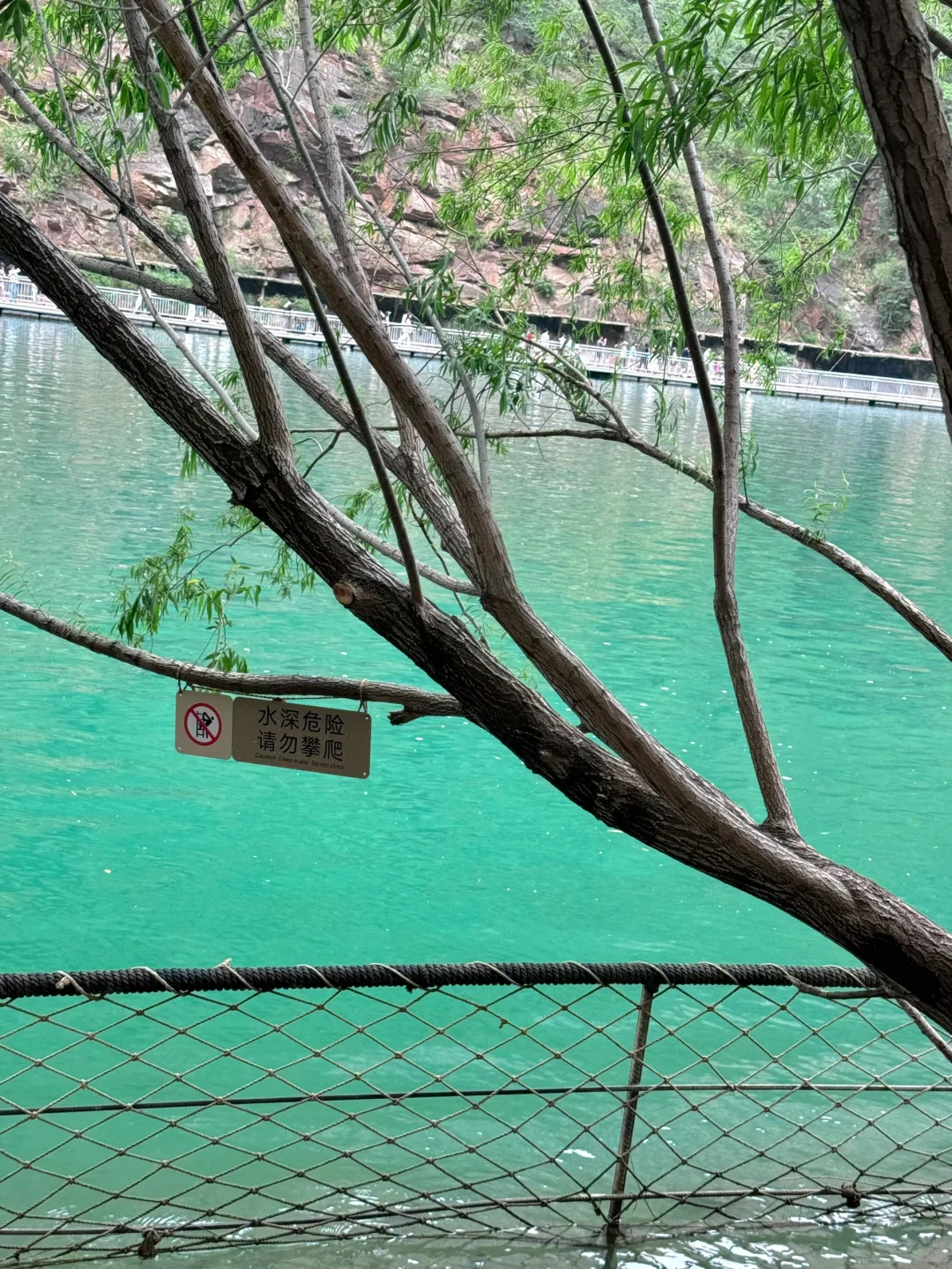 宝泉你真的过分了！一日游保姆级攻略！