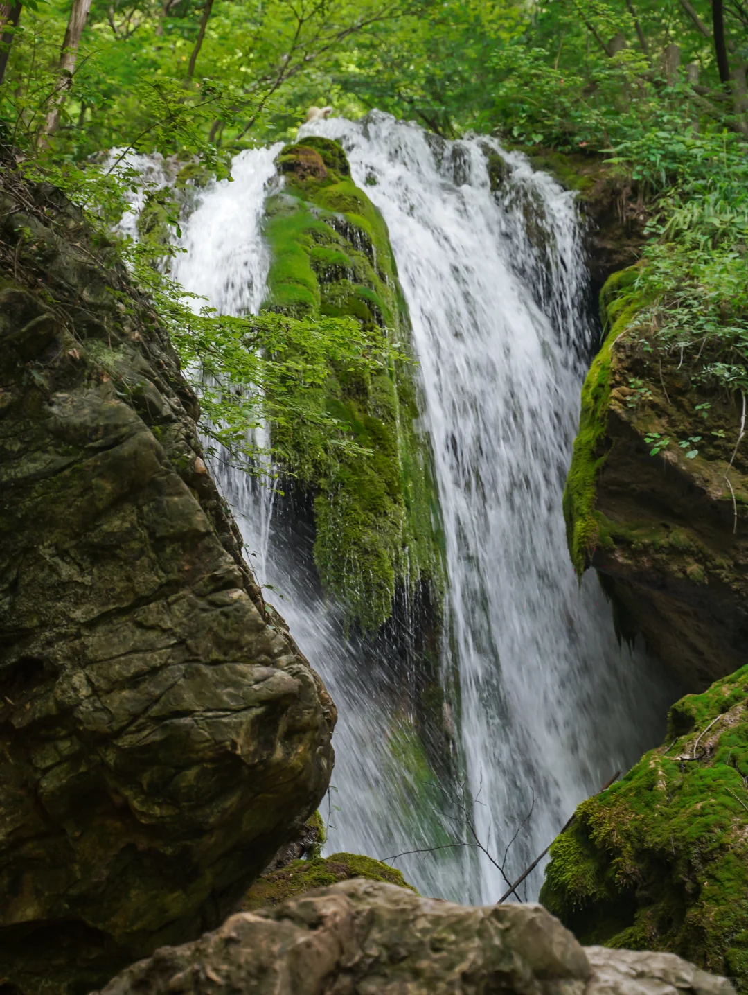 河南人嘴真严啊‼️栾川竟然藏着人间仙境！