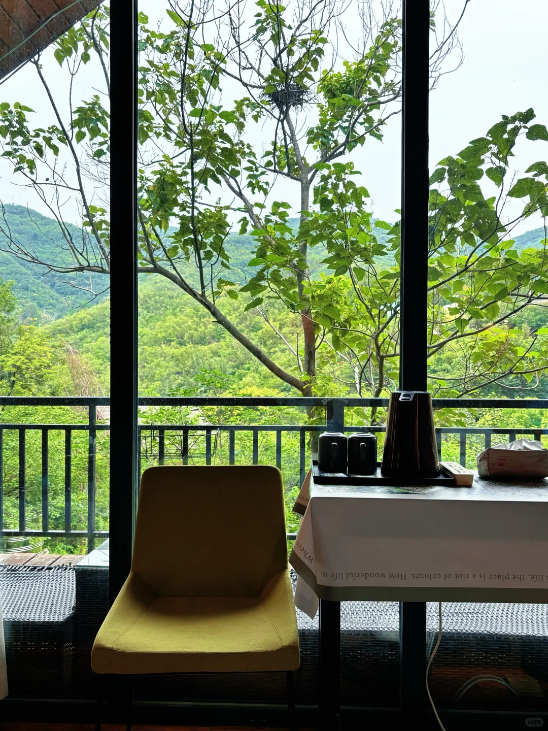 不是瑞士‼️就在鹤壁｜童话里的小木屋🏡