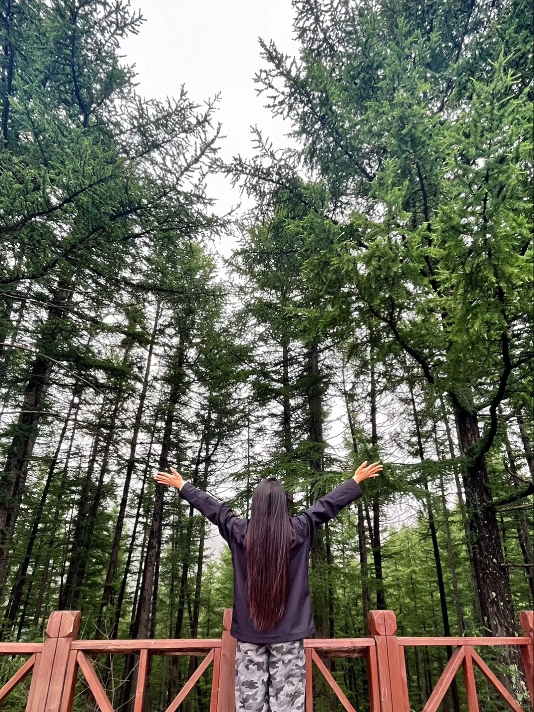 石家庄版小阿勒泰🌲刚去过随便问⛰️