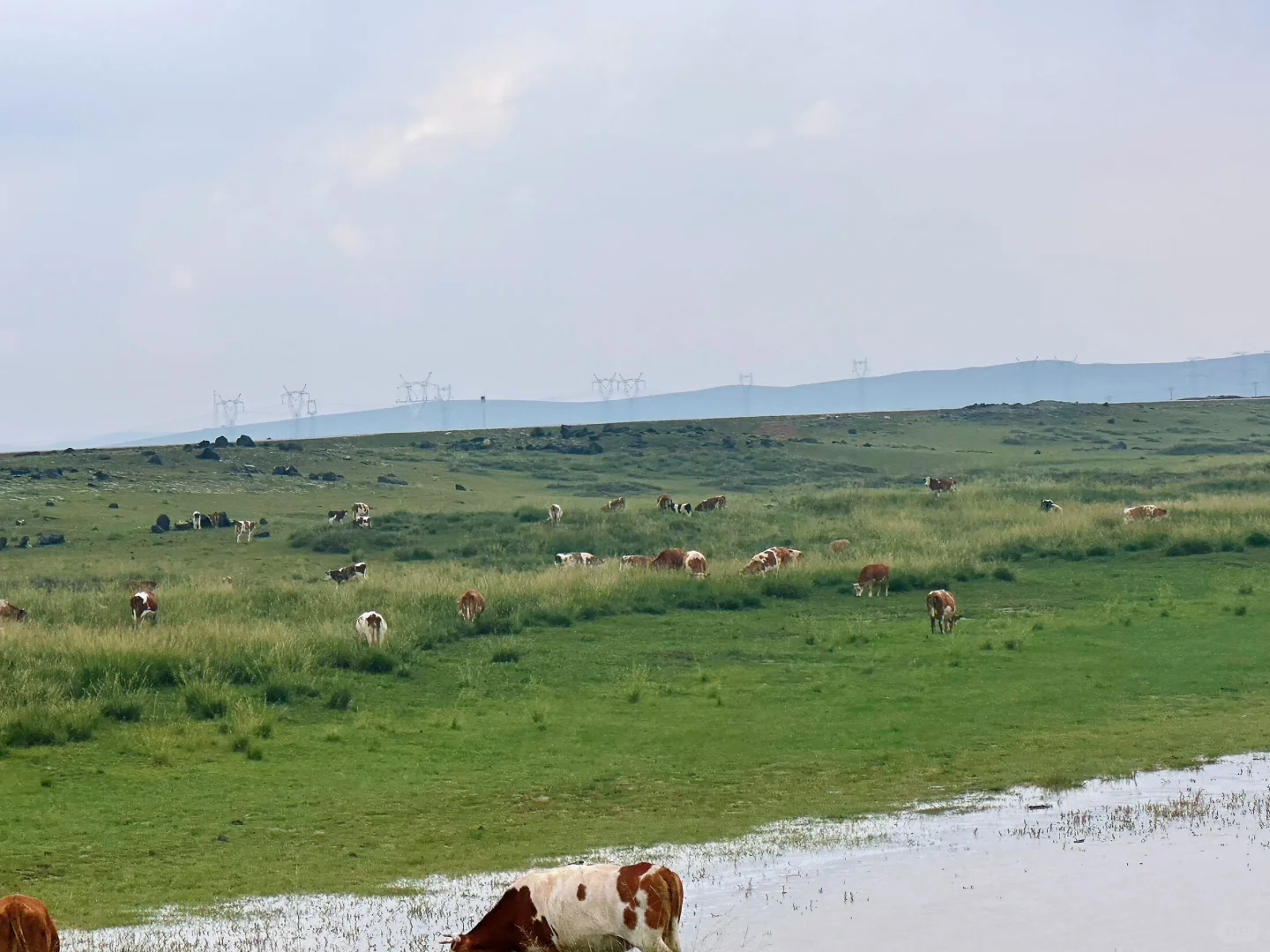 山东德州出发,乌兰察布。带娃旅行攻略