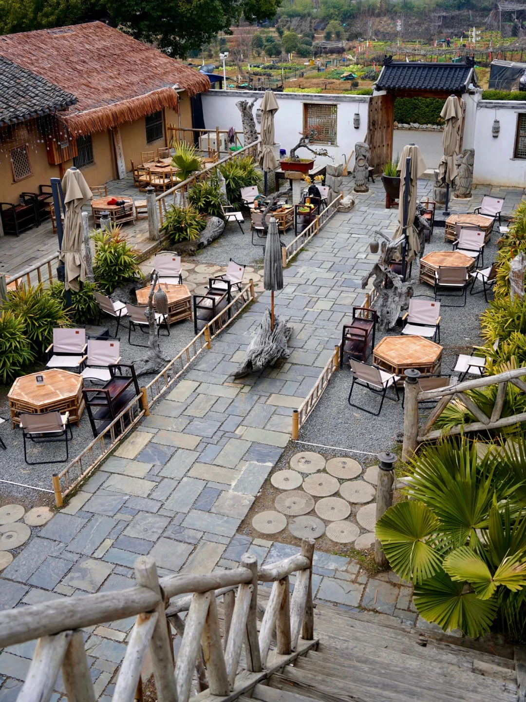 如果你第一次来东湖❗️那这份精华攻略请收好