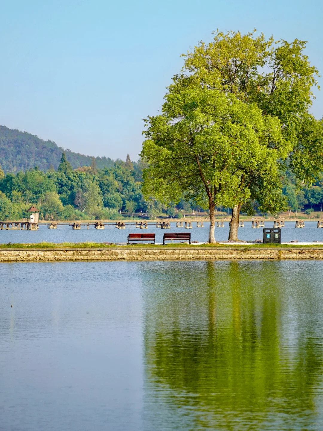 如果你第一次来东湖❗️那这份精华攻略请收好